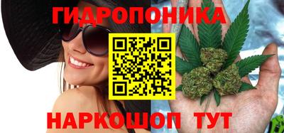 мдпв Заводоуковск