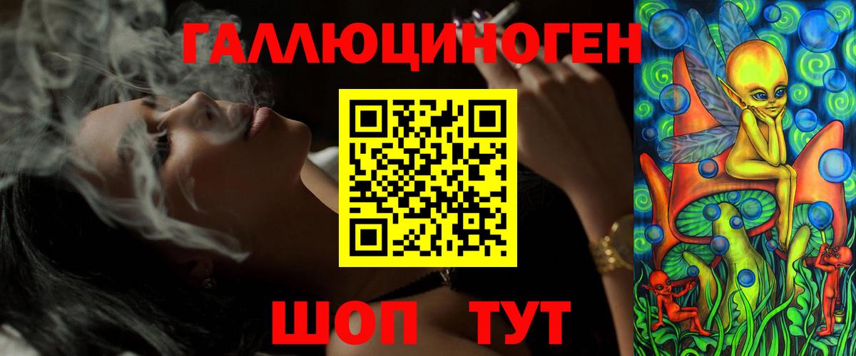Псилоцибиновые грибы Psilocybe Луга